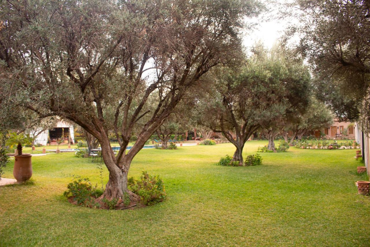 Greenlife Marrakech Marraquexe Exterior foto